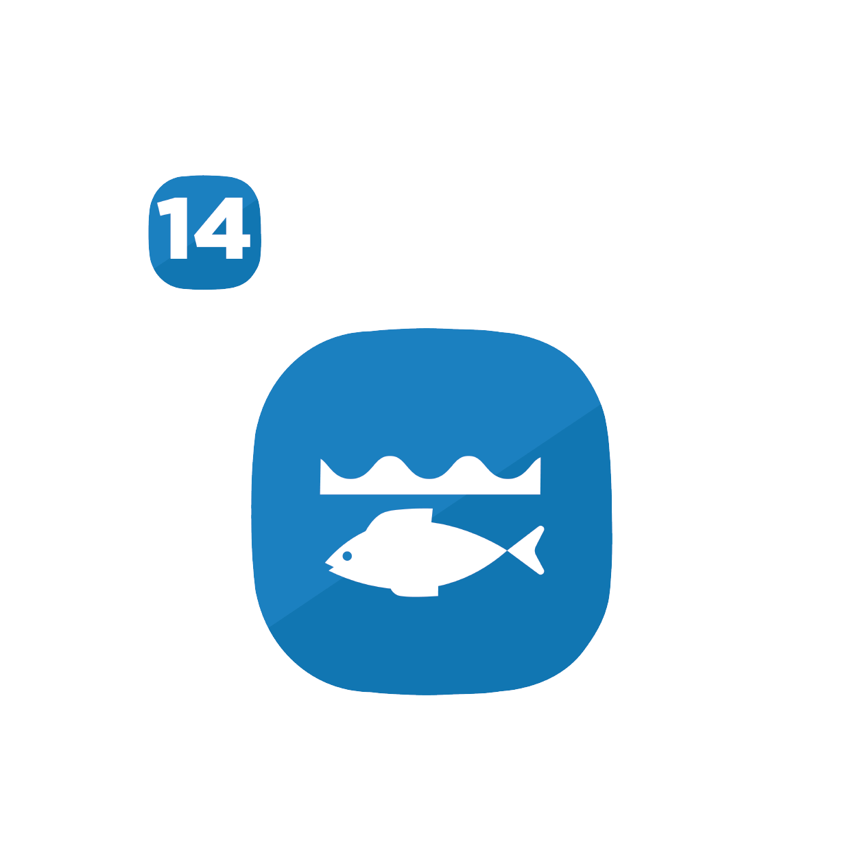 SDG 14